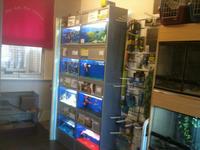 John Allan Fish Racks & More