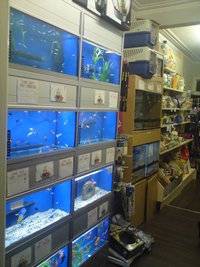 John Allan Fish Racks & More