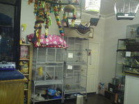 John Allan Fish Racks & More