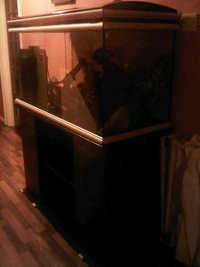 46" x 18" x 24" Tank with cabinate for Sale