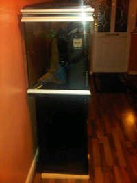 46" x 18" x 24" Tank with cabinate for Sale