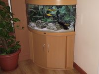tropical fish tank full set up