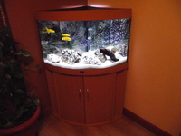 tropical fish tank full set up