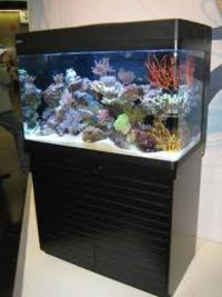 For Sale - Red Sea Max 250 (Black) in Berkshire