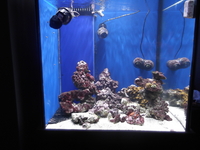 huge cube full marine setup more equipment added