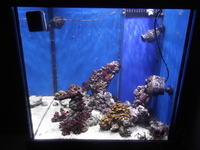 huge cube full marine setup more equipment added