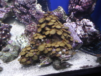 huge cube full marine setup more equipment added