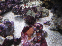 huge cube full marine setup more equipment added