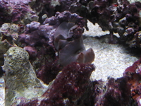 huge cube full marine setup more equipment added
