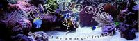 New marine forum Ukreefs.com Friendly Banter,