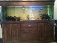 6ft x 2ft x 1.5ft tank on oak cabinet for sale