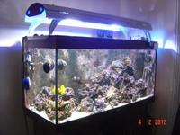Marine aquarium (300 Ltrs) complete set up.