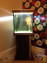Aqua One Aquience Cube 550 Aquarium & Cabinet £120.00 SOLD