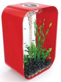 For sale biOrb Life 60 Black Aquarium at £230 Each