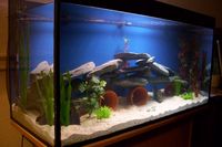 Building YOUR aquarium the way YOU want it