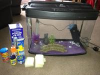 Fish box 64litre fish tank coldwater/tropical for sale