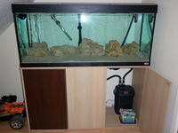 FLUVAL ROMA 240 AND CABINET NEW AND UNUSED + EXTRAS