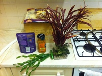 SOLD 2 x fishtanks with glass sliders - metal stand and equipment PLUS lots of extras