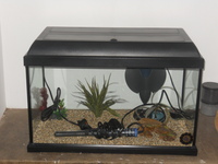 2FT FISH TANK AQUARIUM FULL SET UP