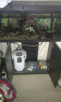 Juwel Rekord 120 full set-up inc livestock