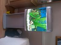 River Reef aquarium 94l