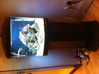 Orca - complete marine aquarium / fish tank setup + stand