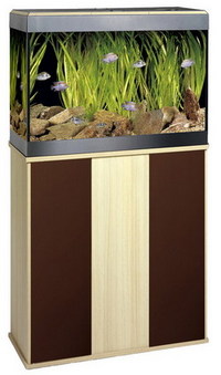 CHILTON AQUATICS. MAKING FISH KEEPING SPECIAL. THE BEST QUALITY OF TROPICAL/COLDWATER AND MARINE FISH IN THE NORTH EAST.