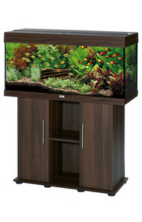 CHILTON AQUATICS. MAKING FISH KEEPING SPECIAL. THE BEST QUALITY OF TROPICAL/COLDWATER AND MARINE FISH IN THE NORTH EAST.