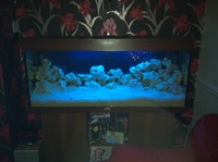JEWEL RIO 240 AQUARIUM,STAND,LIGHTS AND FILTER