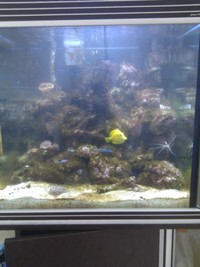 complete marine tank