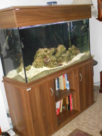 Marine 4ft tank and set up £499.00ono.