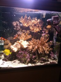 27" CUBE FULLY LOADED JOB LOT top setup OFFERS