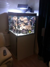 27" CUBE FULLY LOADED JOB LOT top setup OFFERS