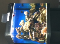 Complete set up River Reef 94L with extras - Liverpool