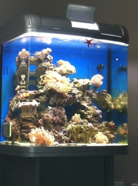 River Reef 94L - Complete Set up Plus extras WILL TAKE OFFERS