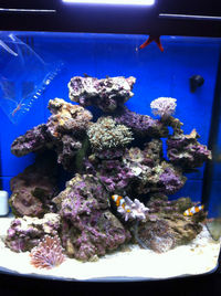 River Reef 94L - Complete Set up Plus extras WILL TAKE OFFERS