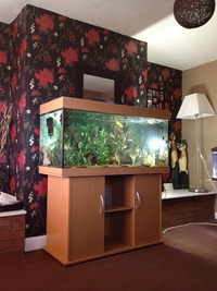 300 juwel fish tank