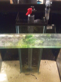 Aqua One 220 Litre Cube with Weir & Sump