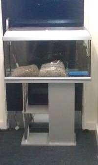 COMPLETE SET UP FOR SALE - SMALL TANK