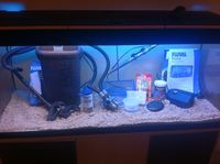 Fluval Roma 240