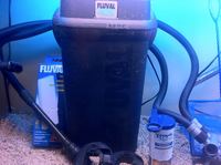 Fluval Roma 240