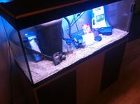 Fluval Roma 240
