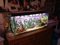 2x 3ft Fish tanks FOR SALE