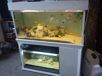 Malawi tanks for sale