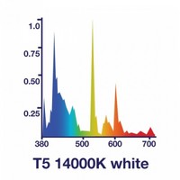 24W T5 White Marine 14000K