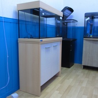 New Aquariums Instock at Ferrybridge Aquatics 16/11/2013