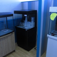 New Aquariums Instock at Ferrybridge Aquatics 16/11/2013