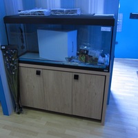 New Aquariums Instock at Ferrybridge Aquatics 16/11/2013