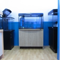 New Aquariums Instock at Ferrybridge Aquatics 16/11/2013