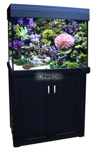 New Aquariums Instock at Ferrybridge Aquatics 16/11/2013
